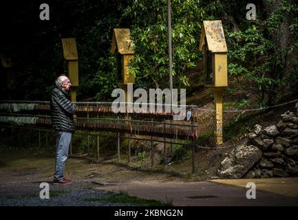 Un croyant aîné est vu prier dans la grotte de Lourdes à Oostakker - Belgique le 08 mai 2020. Normalement, en mai, il est très occupé dans et autour de la cité de pèlerinage, en l'honneur de notre Dame de Lourdes réputée avoir des propriétés de guérison. Par la crise de la couronne (COVID19) aucun événement n'a lieu en raison d'un verrouillage strict à travers la Belgique pour arrêter la propagation de la pandémie de COVID-19, causée par le nouveau coronavirus. Les croyants sont autorisés à se promener et à prier et à allumer une bougie dans la basilique. Une grotte de Lourdes est une réplique de la grotte originale de Lourdes en France. (Photo de Jonathan Raa/NurPhoto) Banque D'Images