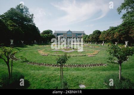 Vue générale de la flore du jardin botanique à Cologne, Allemagne sur 9 mai 2020. (Photo de Ying Tang/NurPhoto) Banque D'Images