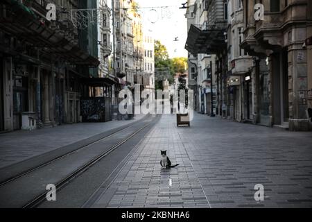 Un chat errant se tient sur la rue Istiklal déserte pendant le couvre-feu à Istanbul, Turquie sur 09 mai 2020. La Turquie a rétabli un couvre-feu de 48 heures dans 24 provinces à partir de minuit dans le cadre de mesures visant à endiguer la propagation du nouveau coronavirus, a annoncé le ministère de l’intérieur du pays. (Photo par CEM Tekke?ino?lu/NurPhoto) Banque D'Images