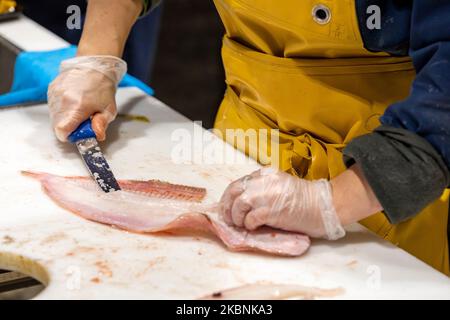 Comptoir à poissons dans un supermarché Leclerc. Gros plan des mains d'un poissonnier coupant des filets d'un poisson. Banque D'Images