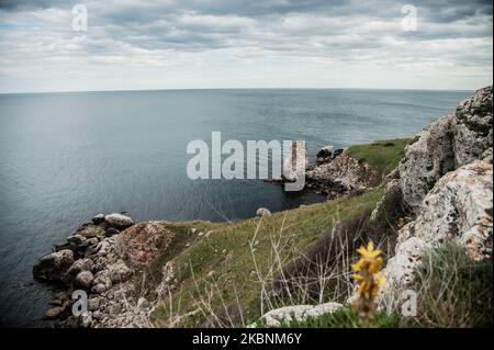 Asphodeline lutea, également connue sous le nom de lance du roi. Des centaines de pivoines sauvages de l'espèce de Paeonia Peregrina colorent en rouge les prés et les collines de la réserve archéologique nationale Yaylata près du village de Kamen Bryag en Bulgarie. L'endroit a été habité dans le millénaire 6th av. J.-C.. Les grottes rocheuses et les nécropoles datent de cette époque. Il y a des preuves que les gens vivaient à Yaylata plus tard dans le temps. Une des trouvailles intéressantes est la forteresse byzantine ancienne, construite pendant le règne de l'empereur Anastasius - V-VI siècle. Quatre tours et une tour de porte ont été partiellement préservées. Pendant le Banque D'Images