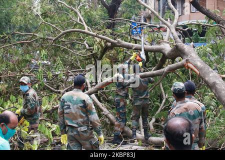 Le personnel de l'armée indienne se déploie pour nettoyer les routes des arbres tombés, des lignes électriques et d'autres à la suite de la chute du cyclone Amphan, dans la ville de Kolkata, dans l'est de l'Inde, sur 24 mai 2020. Des milliers de personnes se sont emparées dans les rues de la ville indienne de Kolkata, sur 23 mai, pour protester contre ce qu'elles ont dit : la lenteur de la réponse du gouvernement aux coupures de courant et aux inondations après un « cyclone plus violent » dévastateur. (Photo de Debajyoti Chakraborty/NurPhoto) Banque D'Images