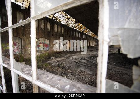 Des peintures murales sont peintes à l'intérieur d'un chantier naval de 2 juin 2020, à Gdansk, en Pologne. (Photo de Jaap Arriens/NurPhoto) Banque D'Images