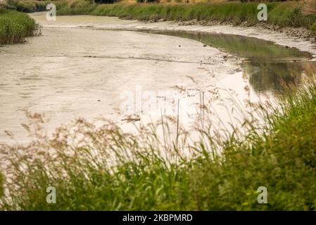 Le niveau d'eau dans les rivières et les eaux souterraines est faible à Heusden, en Belgique, le 03 juin 2020. Ce n'est pas encore l'été, c'est encore le printemps et c'est très alarmant pour les familles et les agriculteurs belges. Les perturbations climatiques continueront de nous faire face à la sécheresse, aux inondations, aux vagues de chaleur et à la perte de biodiversité, affirme l'expert en gestion de l'eau du KU Leuven. Le mois de mai est également prévu pour devenir le plus sec sur 200 ans, les météorologues affirmant que les faibles niveaux de précipitations de ce mois-ci (photo de Jonathan Raa/NurPhoto) Banque D'Images