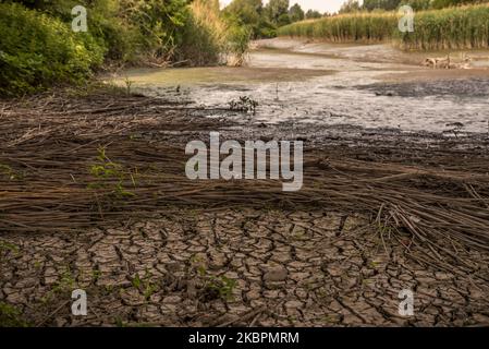 Le niveau d'eau dans les rivières et les eaux souterraines est faible à Ghentbrugge, en Belgique, le 03 juin 2020. Ce n'est pas encore l'été, c'est encore le printemps et c'est très alarmant pour les familles et les agriculteurs belges. Les perturbations climatiques continueront de nous faire face à la sécheresse, aux inondations, aux vagues de chaleur et à la perte de biodiversité, affirme l'expert en gestion de l'eau du KU Leuven. Le mois de mai est également prévu pour devenir le plus sec sur 200 ans, les météorologues affirmant que les faibles niveaux de précipitations de ce mois-ci (photo de Jonathan Raa/NurPhoto) Banque D'Images