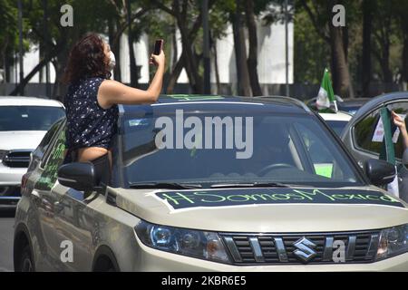 Un manifestant s'assoit à la fenêtre pendant la caravane de protestation contre le gouvernement du président mexicain Andres Manuel López Obrador (AMLO) sur 14 juin 2020 à Mexico, au Mexique. La manifestation a pris part dans plus de 100 villes du pays demandant sa démission. (Photo de Guillermo Gutiérrez/NurPhoto) Banque D'Images