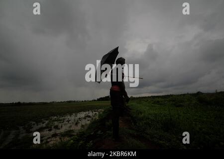 Un villageois est vu à son remblai de rizières agricoles alors que la mousson se trouble dans le ciel avant le déversage juste à la périphérie de la capitale de l'État indien de l'est, Bhubaneswar. (Photo par STR/NurPhoto) Banque D'Images