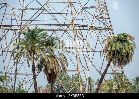 Gros plan des sections de la base d'un pylône électrique haute tension contre un ciel bleu entouré de palmiers Banque D'Images