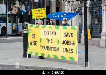 Des manifestants pro-UE protestent devant les chambres du Parlement contre le Brexit sans accord et appellent à une prolongation de la période de transition le 17 juin 2020 à Londres, en Angleterre. L'UE et le Royaume-Uni négocient actuellement les relations post-Brexit alors que la période de transition de la Grande-Bretagne se termine en décembre. (Photo de Wiktor Szymanowicz/NurPhoto) Banque D'Images