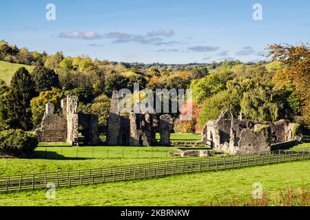 Ruines de l'abbaye d'Easby ou abbaye de St Agatha dans la campagne à Swaledale. Richmond, Yorkshire du Nord, Angleterre, Royaume-Uni, Grande-Bretagne Banque D'Images