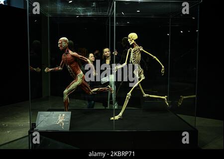 Milan, Italie - 4 novembre 2022 : visiteurs de l'exposition mondes du corps – le rythme de la vie organisée par le Dr Gunther von Hagens, le plastificateur, et la Dre Angelina Whalley, la conservatrice de la Stazione di Milano Centrale, montrant de vrais spécimens démontrant la complexité, la résilience et la vulnérabilité du corps humain. Banque D'Images