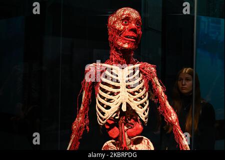 Milan, Italie - 4 novembre 2022 : visiteurs de l'exposition mondes du corps – le rythme de la vie organisée par le Dr Gunther von Hagens, le plastificateur, et la Dre Angelina Whalley, la conservatrice de la Stazione di Milano Centrale, montrant de vrais spécimens démontrant la complexité, la résilience et la vulnérabilité du corps humain. Banque D'Images