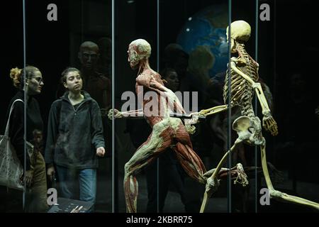 Milan, Italie - 4 novembre 2022 : visiteurs de l'exposition mondes du corps – le rythme de la vie organisée par le Dr Gunther von Hagens, le plastificateur, et la Dre Angelina Whalley, la conservatrice de la Stazione di Milano Centrale, montrant de vrais spécimens démontrant la complexité, la résilience et la vulnérabilité du corps humain. Banque D'Images