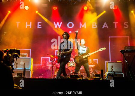 Groupe de rock indépendant anglais The wombats se déroule en direct au Rerading Festival 2016, à Reading, Berkshire on 28 août 2016. Les wombats sont un groupe de rock indépendant anglais composé de Matthew Murphy (voix en chef, guitare, claviers), Tord ?verland Knudsen (basse, voix de soutien), et Dan Haggis (batterie, voix de soutien). (Photo par Alberto Pezzali/NurPhoto) Banque D'Images