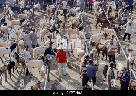 Les éleveurs vendent leurs chèvres au marché aux animaux de Pon, dans la Régence de Semarang, dans le centre de Java, en Indonésie, sur 16 juillet 2020. Avant la célébration de l'Eid al-Adha célébrée par les musulmans, un certain nombre d'éleveurs ont commencé à vendre leurs vaches. (Photo par Galih Yoga/NurPhoto) Banque D'Images