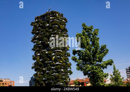 Vue générale de Bosco Verticale pendant un mois d'été, Milan, Italie, sur 22 juillet 2020 (photo de Mairo Cinquetti/NurPhoto) Banque D'Images