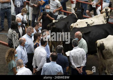 Les rois d'Espagne Felipe VI et Dona Letizia visitent le marché du bétail de Torrelavega lors de leur voyage institutionnel dans la communauté de Cantabrie, en Espagne, sur 29 juillet 2020. (Photo de Joaquin Gomez Sastre/NurPhoto) Banque D'Images