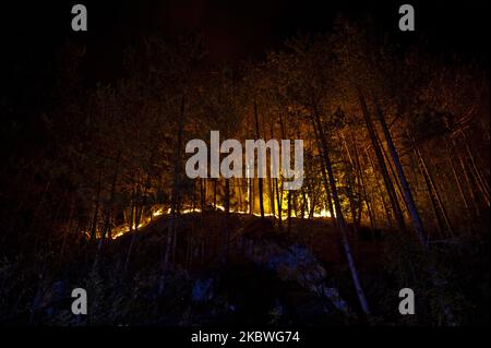 Forêt sur feu pendant la nuit dans le Parc National de Gran Sasso, Italie, sur 31 juillet 2020. Un très grand incendie s'est produit hier à Arischia, en Italie, le 30 juillet 2020. incendie de forêt. Le feu a créé beaucoup de soucis depuis le début, car depuis le début la situation était assez préoccupante. Hier, cinq Canadair et un hélicoptère de la région étaient présents sur place. Les opérations d'extinction d'en haut ont été terminées en raison de l'arrivée de la nuit vers 8:30.le front est assez étendu et pendant la nuit les flammes ont allumé les montagnes, même bien visible de la ville de l'AQ Banque D'Images