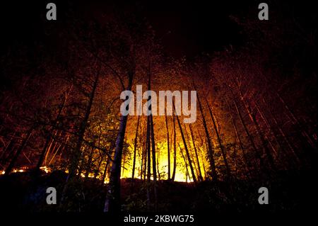 Forêt sur feu pendant la nuit dans le Parc National de Gran Sasso, Italie, sur 31 juillet 2020. Un très grand incendie s'est produit hier à Arischia, en Italie, le 30 juillet 2020. incendie de forêt. Le feu a créé beaucoup de soucis depuis le début, car depuis le début la situation était assez préoccupante. Hier, cinq Canadair et un hélicoptère de la région étaient présents sur place. Les opérations d'extinction d'en haut ont été terminées en raison de l'arrivée de la nuit vers 8:30.le front est assez étendu et pendant la nuit les flammes ont allumé les montagnes, même bien visible de la ville de l'AQ Banque D'Images