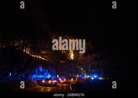 Les pompiers travaillent sur un incendie dans le parc national de Gran Sasso, en Italie, sur 31 juillet 2020. Un très grand incendie s'est produit hier à Arischia, en Italie, le 30 juillet 2020. incendie de forêt. Le feu a créé beaucoup de soucis depuis le début, car depuis le début la situation était assez préoccupante. Hier, cinq Canadair et un hélicoptère de la région étaient présents sur place. Les opérations d'extinction d'en haut ont été terminées en raison de l'arrivée de l'obscurité autour de 8:30 pm.le front est assez étendu et pendant la nuit les flammes ont allumé les montagnes, même bien visible de la ville de L Banque D'Images