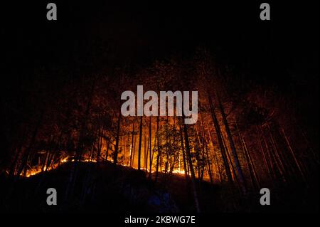 Forêt sur feu pendant la nuit dans le Parc National de Gran Sasso, Italie, sur 31 juillet 2020. Un très grand incendie s'est produit hier à Arischia, en Italie, le 30 juillet 2020. incendie de forêt. Le feu a créé beaucoup de soucis depuis le début, car depuis le début la situation était assez préoccupante. Hier, cinq Canadair et un hélicoptère de la région étaient présents sur place. Les opérations d'extinction d'en haut ont été terminées en raison de l'arrivée de la nuit vers 8:30.le front est assez étendu et pendant la nuit les flammes ont allumé les montagnes, même bien visible de la ville de l'AQ Banque D'Images