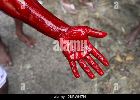 (NOTE DE LA RÉDACTION: Contenu graphique) les dévots musulmans préparent un boeuf pour l'abattage pendant l'Eid al-Adha, la fête du sacrifice, à Brahmanbaria sur 1 août 2020. (Photo de Kazi Salahuddin Razu/NurPhoto) Banque D'Images