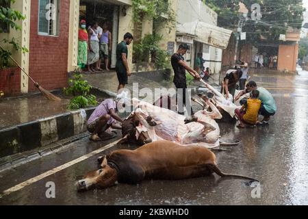 (NOTE DE LA RÉDACTION: Contenu graphique) les dévots musulmans préparent un boeuf pour l'abattage pendant l'Eid al-Adha, la fête du sacrifice, à Dhaka sur 1 août 2020. Les musulmans de tout le pays, même dans ces ordres de séjour à la maison, la peur des épidémies, au milieu de la pluie; a célébré l'un de leurs festivals importants en sacrifiant les animaux pour montrer et soumettre la volonté sincère à Allah. (Photo par Istiak Karim/NurPhoto) Banque D'Images