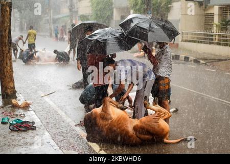 (NOTE DE LA RÉDACTION: Contenu graphique) les dévots musulmans préparent un boeuf pour l'abattage pendant l'Eid al-Adha, la fête du sacrifice, à Dhaka sur 1 août 2020. Les musulmans de tout le pays, même dans ces ordres de séjour à la maison, la peur des épidémies, au milieu de la pluie; a célébré l'un de leurs festivals importants en sacrifiant les animaux pour montrer et soumettre la volonté sincère à Allah. (Photo par Istiak Karim/NurPhoto) Banque D'Images