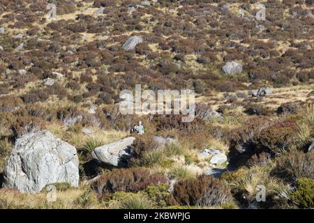 Les randonneurs marchent sur la piste de la vallée de Hooker à Aoraki / Parc national du Mont Cook dans l'île du Sud, en Nouvelle-Zélande, sur 05 août 2020. Le point d'observation à la fin de la piste de la vallée de Hooker se termine avec un lac de Hooker moucheté d'iceberg et la vue la plus proche d'Aoraki / Mont Cook. Le mont Cook se trouve au milieu de la chaîne de montagnes des Alpes du Sud et, à partir de 2020, sa hauteur est enregistrée à 3724m du niveau de la mer. (Photo de Sanka Vidanagama/NurPhoto) Banque D'Images