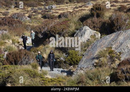 Les randonneurs marchent sur la piste de la vallée de Hooker à Aoraki / Parc national du Mont Cook dans l'île du Sud, en Nouvelle-Zélande, sur 05 août 2020. Le point d'observation à la fin de la piste de la vallée de Hooker se termine avec un lac de Hooker moucheté d'iceberg et la vue la plus proche d'Aoraki / Mont Cook. Le mont Cook se trouve au milieu de la chaîne de montagnes des Alpes du Sud et, à partir de 2020, sa hauteur est enregistrée à 3724m du niveau de la mer. (Photo de Sanka Vidanagama/NurPhoto) Banque D'Images