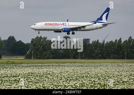 Anadolu Jet Boeing 737-800 passagers comme vu sur l'approche finale vol pour l'atterrissage et puis le roulement sur piste Polderbaan à Amsterdam Schiphol AMS EHAM aéroport international aux pays-Bas sur 2 juillet 2020. L'avion d'atterrissage B738 à l'aéroport néerlandais a l'enregistrement TC-JKU et est alimenté par 2x moteurs CFMI jet. AnadoluJet est une filiale régionale de Turkish Airlines qui partage les mêmes codes IATA et OACI TK et DONT L'exploitation est uniquement Boeing 737. La compagnie aérienne dispose de 40 avions qui desservent 136 destinations. À partir de mars 2020, la marque AnadoluJet sera utilisée pour l'ensemble de la Banque D'Images