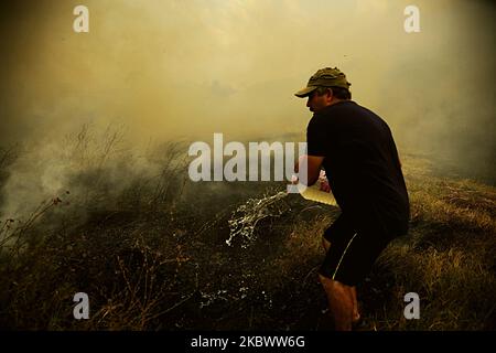 Un énorme feu de forêt est burnig entre les villages de Balgarin, Rogozinovo et la ville de Kharmanli, Bulgarie, qui sont situés à environ 30 kilomètres de la frontière bulgare-turque et le point de passage de Kapitan Andreevo et à 270 kilomètres de la capitale bulgare de Sofia. L'incendie de hude a fermé l'autoroute internationale Maritsa et maintenant avec l'incendie se battent plus de 300 personnes, les pompiers, l'armée, les volontaires et les gens des villages travaillent sur place. Au cours des deux dernières semaines, des incendies ont détruit plus de 30 000 acres, à Harmanli, en Bulgarie, sur 07 août 2020 (photo de Hristo R Banque D'Images