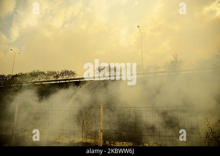 Un énorme feu de forêt est burnig entre les villages de Balgarin, Rogozinovo et la ville de Kharmanli, Bulgarie, qui sont situés à environ 30 kilomètres de la frontière bulgare-turque et le point de passage de Kapitan Andreevo et à 270 kilomètres de la capitale bulgare de Sofia. L'incendie de hude a fermé l'autoroute internationale Maritsa et maintenant avec l'incendie se battent plus de 300 personnes, les pompiers, l'armée, les volontaires et les gens des villages travaillent sur place. Au cours des deux dernières semaines, des incendies ont détruit plus de 30 000 acres, Kharmanli, Bulgarie sur 07 août 2020 (photo de Hristo Banque D'Images