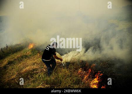 Un énorme feu de forêt est burnig entre les villages de Balgarin, Rogozinovo et la ville de Kharmanli, Bulgarie, qui sont situés à environ 30 kilomètres de la frontière bulgare-turque et le point de passage de Kapitan Andreevo et à 270 kilomètres de la capitale bulgare de Sofia. L'incendie de hude a fermé l'autoroute internationale Maritsa et maintenant avec l'incendie se battent plus de 300 personnes, les pompiers, l'armée, les volontaires et les gens des villages travaillent sur place. Au cours des deux dernières semaines, des incendies ont détruit plus de 30 000 acres, Kharmanli, Bulgarie sur 07 août 2020 (photo de Hristo Banque D'Images