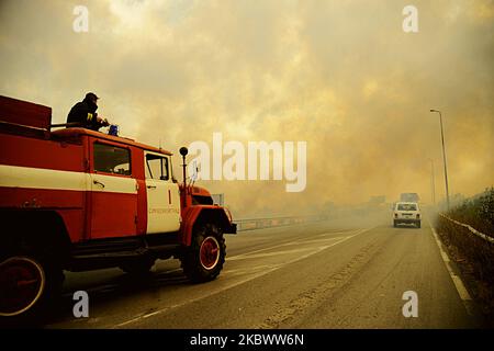 Un énorme feu de forêt est burnig entre les villages de Balgarin, Rogozinovo et la ville de Kharmanli, Bulgarie, qui sont situés à environ 30 kilomètres de la frontière bulgare-turque et le point de passage de Kapitan Andreevo et à 270 kilomètres de la capitale bulgare de Sofia. L'incendie de hude a fermé l'autoroute internationale Maritsa et maintenant avec l'incendie se battent plus de 300 personnes, les pompiers, l'armée, les volontaires et les gens des villages travaillent sur place. Au cours des deux dernières semaines, des incendies ont détruit plus de 30 000 acres, Kharmanli, Bulgarie sur 07 août 2020 (photo de Hristo Banque D'Images