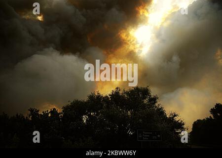 Un énorme feu de forêt est burnig entre les villages de Balgarin, Rogozinovo et la ville de Kharmanli, Bulgarie, qui sont situés à environ 30 kilomètres de la frontière bulgare-turque et le point de passage de Kapitan Andreevo et à 270 kilomètres de la capitale bulgare de Sofia. L'incendie de hude a fermé l'autoroute internationale Maritsa et maintenant avec l'incendie se battent plus de 300 personnes, les pompiers, l'armée, les volontaires et les gens des villages travaillent sur place. Au cours des deux dernières semaines, des incendies ont détruit plus de 30 000 acres, Kharmanli, Bulgarie sur 07 août 2020 (photo de Hristo Banque D'Images