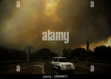 Un énorme feu de forêt est burnig entre les villages de Balgarin, Rogozinovo et la ville de Kharmanli, Bulgarie, qui sont situés à environ 30 kilomètres de la frontière bulgare-turque et le point de passage de Kapitan Andreevo et à 270 kilomètres de la capitale bulgare de Sofia. L'incendie de hude a fermé l'autoroute internationale Maritsa et maintenant avec l'incendie se battent plus de 300 personnes, les pompiers, l'armée, les volontaires et les gens des villages travaillent sur place. Au cours des deux dernières semaines, des incendies ont détruit plus de 30 000 acres, Kharmanli Bulgarie sur 07 août 2020 (photo de Hristo R Banque D'Images