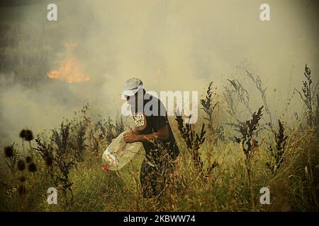 Un énorme feu de forêt est burnig entre les villages de Balgarin, Rogozinovo et la ville de Kharmanli, Bulgarie, qui sont situés à environ 30 kilomètres de la frontière bulgare-turque et le point de passage de Kapitan Andreevo et à 270 kilomètres de la capitale bulgare de Sofia. L'incendie de hude a fermé l'autoroute internationale Maritsa et maintenant avec l'incendie se battent plus de 300 personnes, les pompiers, l'armée, les volontaires et les gens des villages travaillent sur place. Au cours des deux dernières semaines, des incendies ont détruit plus de 30 000 acres, Kharmanli, Bulgarie sur 07 août 2020 (photo de Hristo Banque D'Images