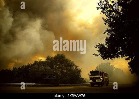 Un énorme feu de forêt est burnig entre les villages de Balgarin, Rogozinovo et la ville de Kharmanli, Bulgarie, qui sont situés à environ 30 kilomètres de la frontière bulgare-turque et le point de passage de Kapitan Andreevo et à 270 kilomètres de la capitale bulgare de Sofia. L'incendie de hude a fermé l'autoroute internationale Maritsa et maintenant avec l'incendie se battent plus de 300 personnes, les pompiers, l'armée, les volontaires et les gens des villages travaillent sur place. Au cours des deux dernières semaines, des incendies ont détruit plus de 30 000 acres, Kharmanli, Bulgarie sur 07 août 2020 (photo de Hristo Banque D'Images