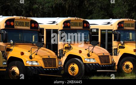 Les autobus scolaires sont garés au centre de transport de Winter Springs des écoles publiques du comté de Seminole à 13 août 2020, à Winter Springs, Floride, États-Unis. Lorsque les écoles du comté rouvriront à 17 août 2020, les autobus seront limités à environ la moitié de leur capacité pour permettre aux élèves de se tenir à distance au fur et à mesure que la pandémie du coronavirus se poursuit. (Photo de Paul Hennessy/NurPhoto) Banque D'Images