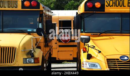 Les autobus scolaires sont garés au centre de transport de Winter Springs des écoles publiques du comté de Seminole à 13 août 2020, à Winter Springs, Floride, États-Unis. Lorsque les écoles du comté rouvriront à 17 août 2020, les autobus seront limités à environ la moitié de leur capacité pour permettre aux élèves de se tenir à distance au fur et à mesure que la pandémie du coronavirus se poursuit. (Photo de Paul Hennessy/NurPhoto) Banque D'Images
