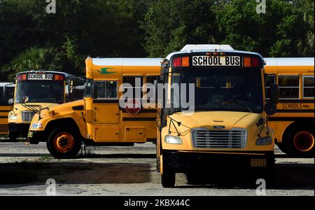 Les autobus scolaires sont garés au centre de transport de Winter Springs des écoles publiques du comté de Seminole à 13 août 2020, à Winter Springs, Floride, États-Unis. Lorsque les écoles du comté rouvriront à 17 août 2020, les autobus seront limités à environ la moitié de leur capacité pour permettre aux élèves de se tenir à distance au fur et à mesure que la pandémie du coronavirus se poursuit. (Photo de Paul Hennessy/NurPhoto) Banque D'Images