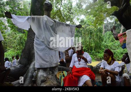 Un dévot de la déesse Osun exécute un rituel pendant le festival annuel Osun-Osogbo en l'honneur d'elle à Osogbo, Nigeria, on 14 août 2020. (Photo par Olukayode Jaiyeola/NurPhoto) Banque D'Images