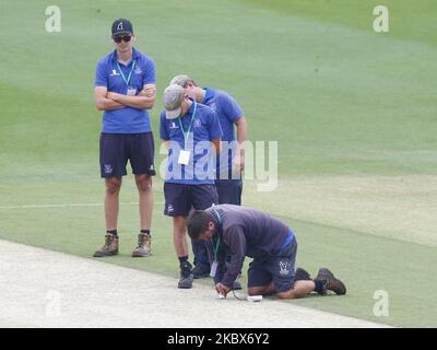 Groundsman vérifiant le cricket pendant la première journée de Bob Willis Trophy Southern Group entre Sussex CCC et Essex CCC au 1st Central County Ground, Brighton et Hove, Angleterre, le 15th août 2020 (photo par action Foto Sport/NurPhoto) Banque D'Images