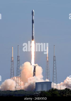 18 août 2020 - Cape Canaveral, Floride, États-Unis - Une fusée SpaceX Falcon 9 transportant 58 satellites pour le réseau Internet à large bande Starlink de SpaceX et trois satellites d'imagerie terrestre SkySat lancés à partir du PAD 40 à la station de la Force aérienne de Cape Canaveral sur 18 août 2020 à Cape Canaveral, en Floride. (Photo de Paul Hennessy/NurPhoto) Banque D'Images