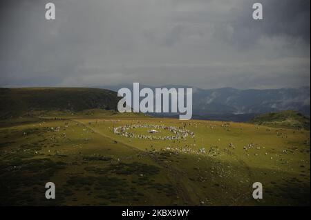 La fraternité blanche en Bulgarie marque le début de la nouvelle année du devine dans la montagne de Rila. Le rassemblement traditionnel de la Fraternité Blanche a eu lieu dans la montagne bulgare de Rila, près du lac de Babreka. Le fondateur de la fraternité est Petar Danov. Selon ses enseignements, le 19 août Th marque le début de la nouvelle année du devine. La collecte est toujours basée sur la danse paneurythmy dite. Il a lieu dans la montée du soleil. La fraternité blanche mondiale est fondée au début du 20 e siècle par le petar Danov bulgare. Sa philosophie contient l'exotisme chrétien combiné avec pra Banque D'Images