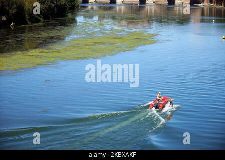 Les gens jouent au ski nautique près d'une parcelle d'algues dans la Garonne. La Garonne est proche de son niveau record en raison d'un manque de pluie depuis le début de 2020 et d'une chaleur brûtante pendant plusieurs périodes de chaleur de pointe. En conséquence, la Garonne est eutrophisée. En raison du niveau d'eau bas, des déchets apparaissent sur le lit de la rivière. Le Service météorologique national (Meteofrance) a annoncé que juillet a été le mois le plus sec jamais enregistré en France depuis 1959 et que le premier semestre de 2020 a été le plus chaud depuis le début des records. Sur 18 août 2020 à Toulouse, France. (Photo d'Alain Pitton/nu Banque D'Images