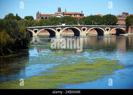 Eutrophisation de la Garonne à toulouse. La Garonne est proche de son niveau record en raison d'un manque de pluie depuis le début de 2020 et d'une chaleur brûtante pendant plusieurs périodes de pic de chaleur. En conséquence, la Garonne est eutrophisée. En raison du niveau d'eau bas, des déchets apparaissent sur le lit de la rivière. Le Service météorologique national (Meteofrance) a annoncé que juillet a été le mois le plus sec jamais enregistré en France depuis 1959 et que le premier semestre de 2020 a été le plus chaud depuis le début des records. Sur 18 août 2020 à Toulouse, France. (Photo d'Alain Pitton/NurPhoto) Banque D'Images