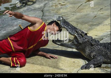 Un interprète qui met la tête entre les fangs béants d'un crocodile lors d'un spectacle à la ferme aux crocodiles et au zoo de Samutprakarn, province de Samut Prakan, Thaïlande, le 22 août 2020. La ferme et le zoo prétendent être la plus grande ferme de crocodiles au monde avec plus de 40 000 crocodiles d'eau douce et marins, et offre des spectacles tels que la lutte de crocodiles pour attirer les touristes, de retour ouvert au milieu de l'épidémie du coronavirus. (Photo par Anusak Laowilas/NurPhoto) Banque D'Images