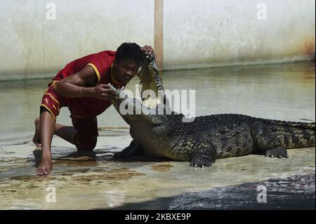 Un interprète qui met la tête entre les fangs béants d'un crocodile lors d'un spectacle à la ferme aux crocodiles et au zoo de Samutprakarn, province de Samut Prakan, Thaïlande, le 22 août 2020. La ferme et le zoo prétendent être la plus grande ferme de crocodiles au monde avec plus de 40 000 crocodiles d'eau douce et marins, et offre des spectacles tels que la lutte de crocodiles pour attirer les touristes, de retour ouvert au milieu de l'épidémie du coronavirus. (Photo par Anusak Laowilas/NurPhoto) Banque D'Images